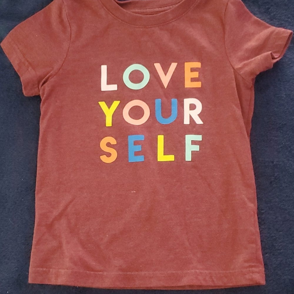 Toddler boys 2T shirt